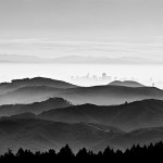 "San Francisco" by Neal Pritchard