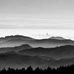 "San Francisco" by Neal Pritchard
