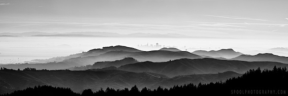 "San Francisco" by Neal Pritchard