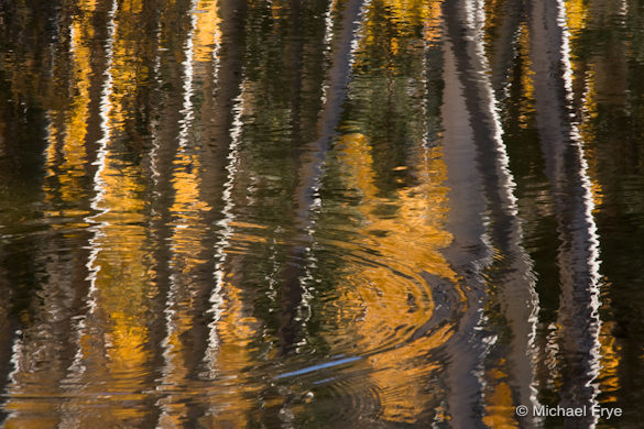 0211-7210 31. Eastside aspen reflections