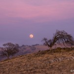 Moonrise, Sierra foothills, Sunday evening