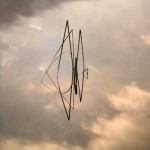 Reeds and Cloud Reflections no. 1