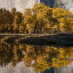 El Capitan, California black oaks, and the Merced River