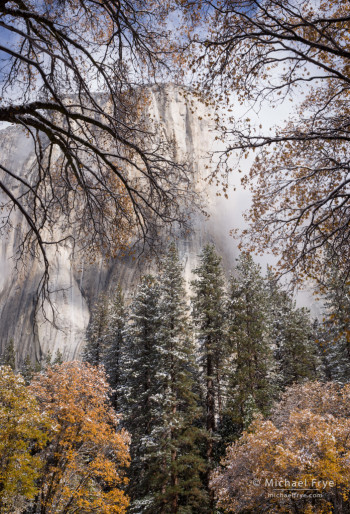 El Capitan after an autumn snowstorm from El Capitan Meadow, Yosemite NP, CA, USA