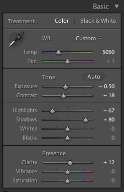 Basic Panel settings in Lightroom for the final, processed image (at the top of this post)