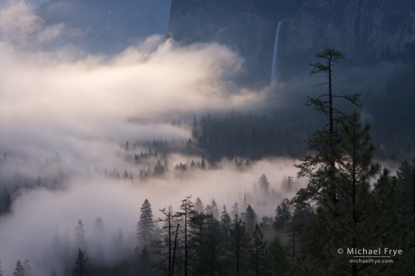 Bridalveil Fall, mist, and trees, Yosemite NP, CA, USA