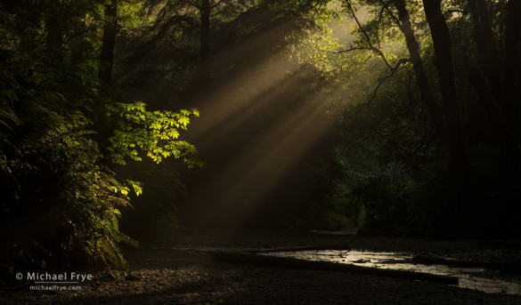Sunbeams at the mouth of Fern Canyon, Prairie Creek Redwoods SP, CA, USA