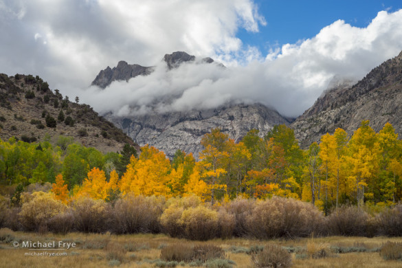 Carson Peak and aspens during a clearing storm, June Lake Loop, Inyo NF, CA, USA
