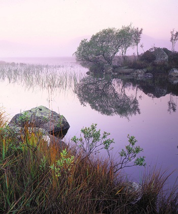 DamnedLoch "That Damned Loch" by Tim Parkin