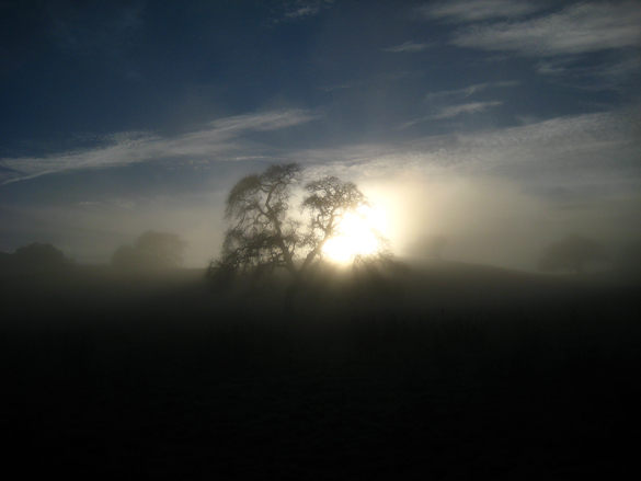 FogA Fog, by Joe Navratil