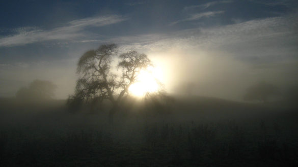 Fog_lightFG Lightened foreground