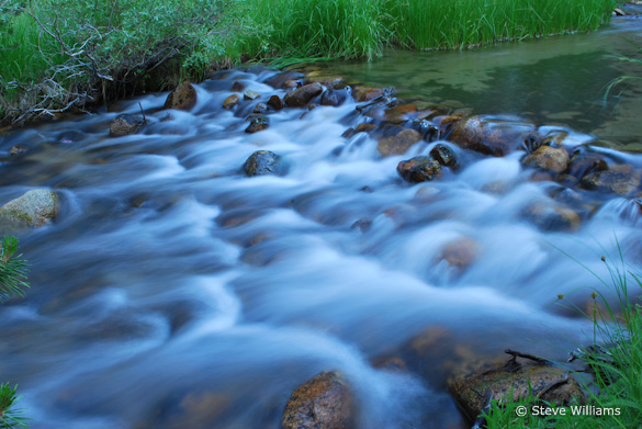 RockCreek1 "Rock Creek—Beautiful Stream" by Steve Williams