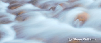 RockCreek4 Second crop