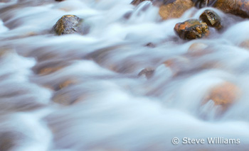 RockCreek6 Fourth crop
