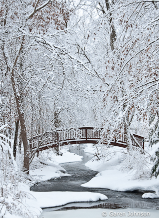 WinterBeautryMyCrop My preferred crop