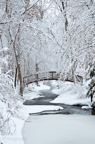 WinterBeautryUncropped Original, uncropped version