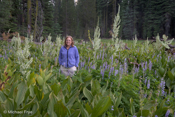 0210-5324 Claudia next to the tallest corn lily I've ever seen