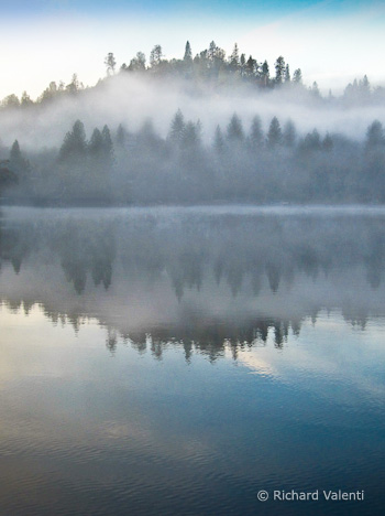 MorningMist1-2 Vertical crop
