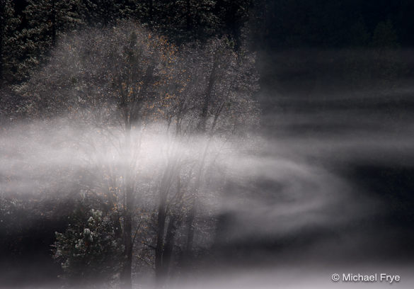 40. Swirling mist, El Capitan Meadow