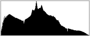 Histogram for a high-contrast scene with pixels pushed up against the left edge, indicating underexposed shadows, but properly exposed highlights. In most cases this is preferable—if you can’t get both, it’s better retain detail in the highlights and let the shadows go black