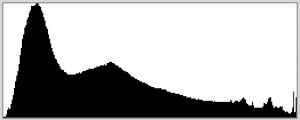 Histogram for a high-contrast scene with a spike at the right edge, indicating overexposed highlights