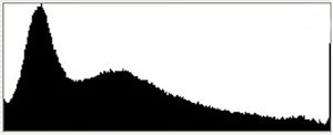 The most important parts of a histogram are the right and left edges. This histogram shows pixels pushed up against both edges, indicating overexposed highlights and underexposed shadows.