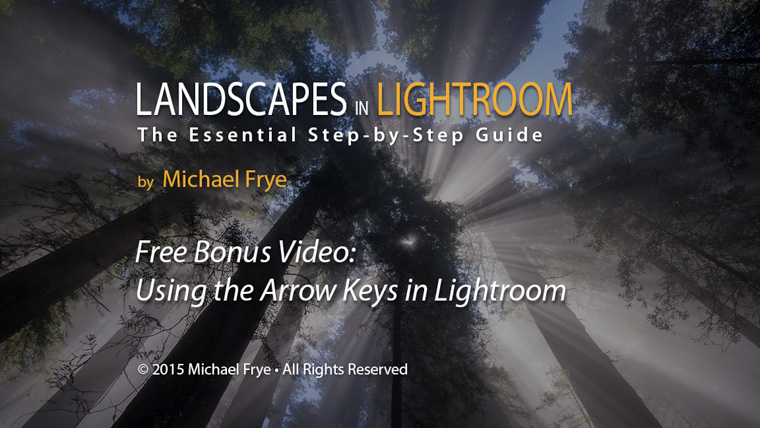 Free Bonus Video: Using the Arrow Keys in Lightroom