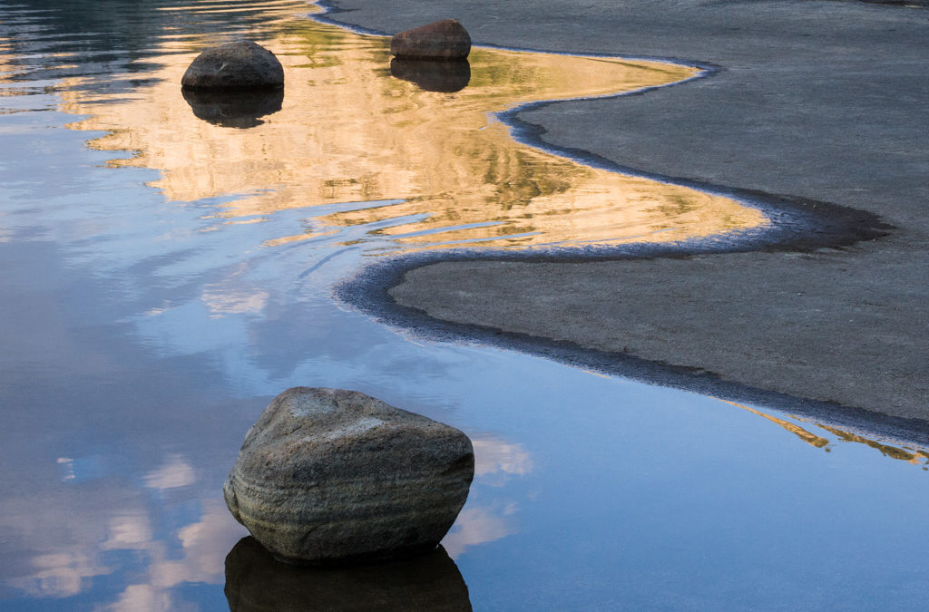 Curvy Photographs