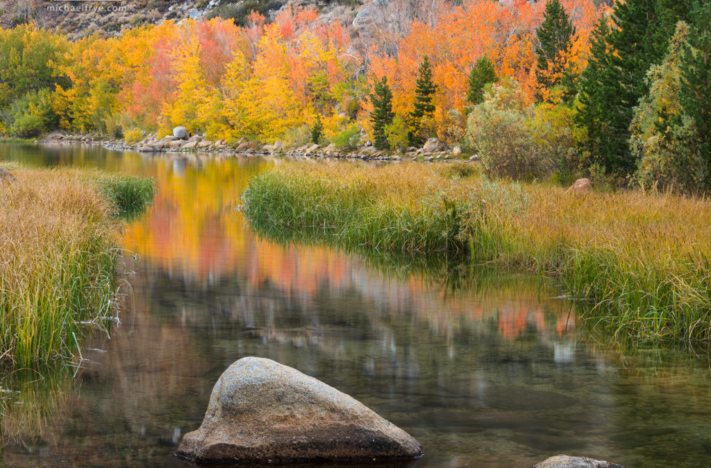 Early Autumn Color