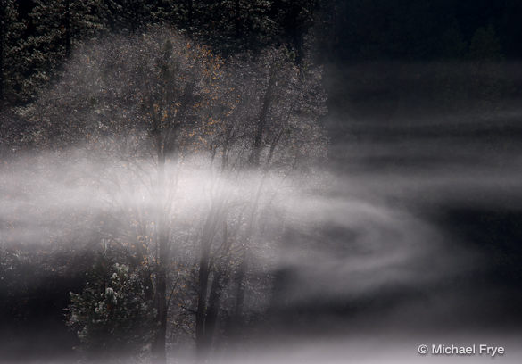 40. Swirling Mist, El Capitan Meadow
