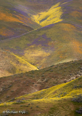 9. Painted Hills in the Temblor Range