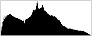 Histogram for a high-contrast scene with pixels pushed up against the left edge, indicating underexposed shadows, but properly exposed highlights. In most cases this is preferable—if you can’t get both, it’s better retain detail in the highlights and let the shadows go black.