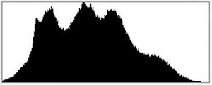 A properly-exposed medium-contrast scene, with nothing pushed up against either end of the histogram.