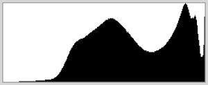 The spike at the right edge of this histogram indicates overexposure. Use "minus" compensation to correct for this; try -1.0, then add more if necessary. 