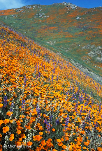 Frontlight helped balance the contrast between sky and foreground, while still emphasizing color, in this scene from the Kern River Canyon in 1988 