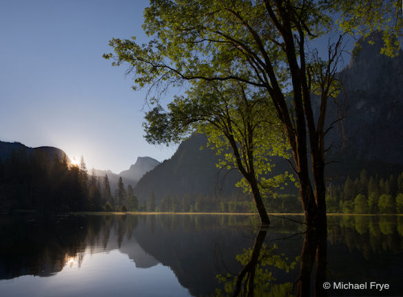 Half Dome and oaks in flooded Leidig Meadow, June 16th