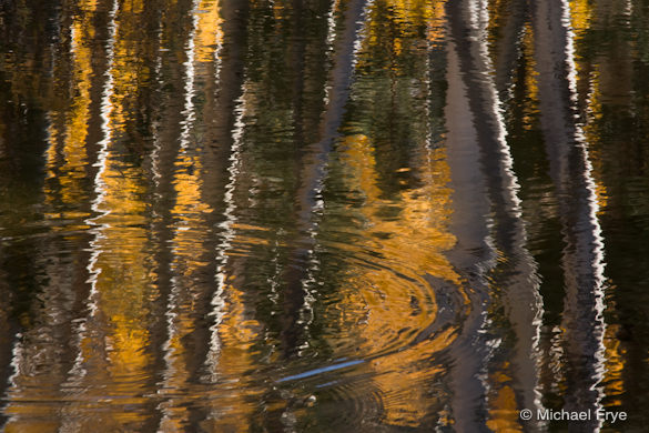 Aspens reflected in Green Creek