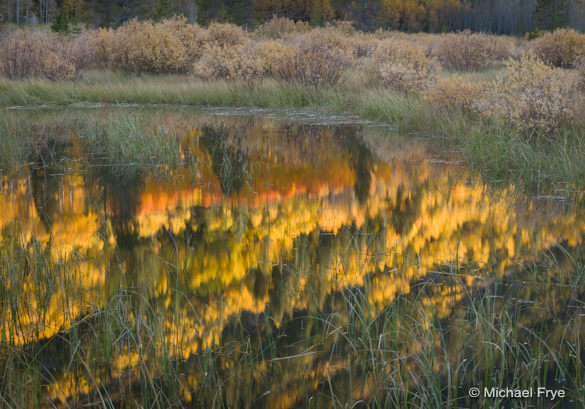 Colorful hillside reflected in a beaver pond