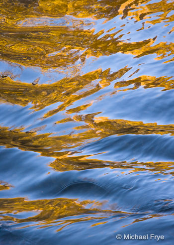 Sky and leaves reflected in Rush Creek