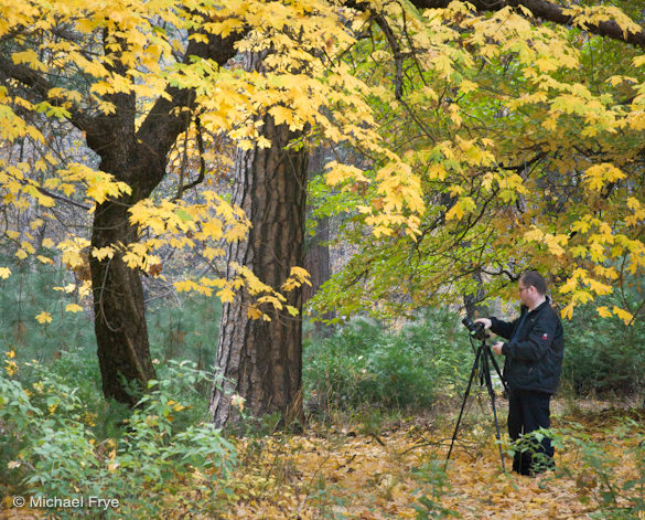 Workshop participant Jim photographing a colorful maple