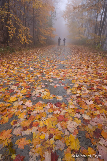 Workshop students in the fog