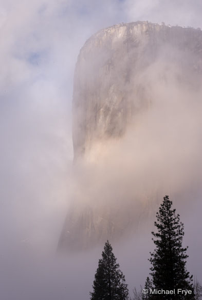 8. Two trees and El Capitan
