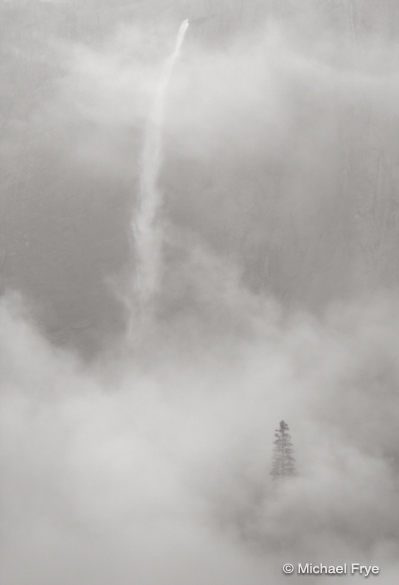 30. Upper Yosemite Fall, mist, and ponderosa pine, Yosemite