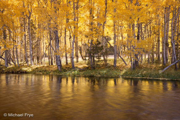 31. Autumn reflections, Rush Creek, June Lake Loop