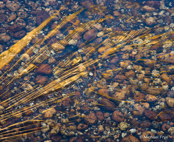 40. Ice, reflections, and river pebbles, Merced River