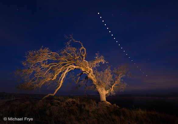 41. Oak tree and lunar eclipse sequence, Sierra foothills