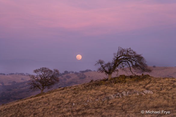 Moonrise, Sierra foothills, Sunday evening