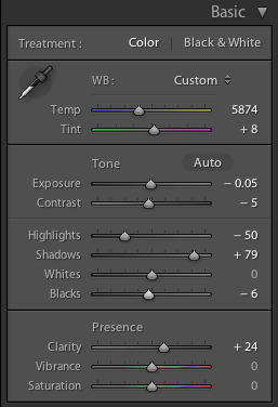 Lightroom 4 Basic Panel showing the settings for the finished image