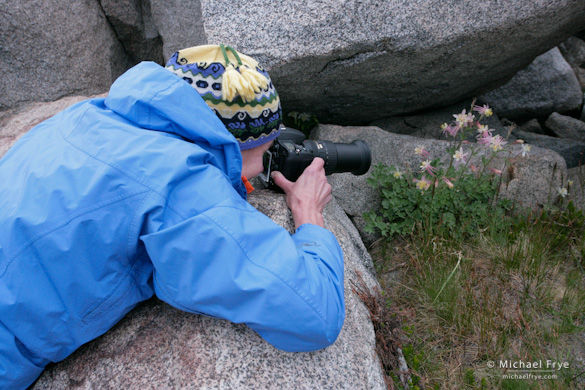 Julie photographing columbines