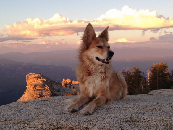 Rider posing at sunset (photo by Claudia Welsh)